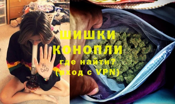 прущие грибы Балахна