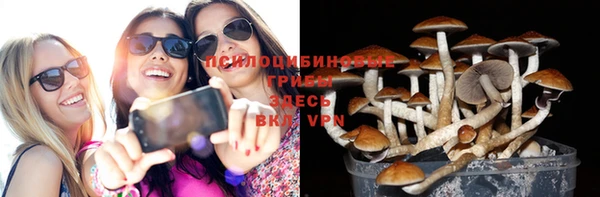 прущие грибы Балахна