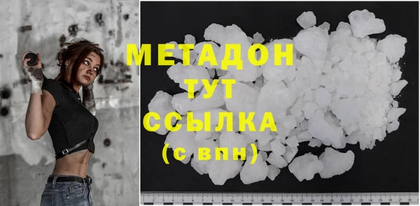 прущие грибы Балахна