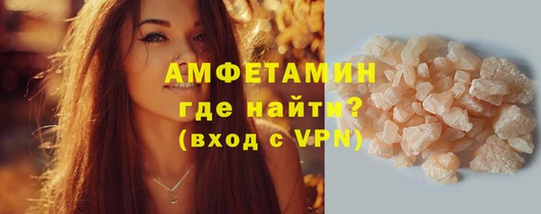 прущие грибы Балахна