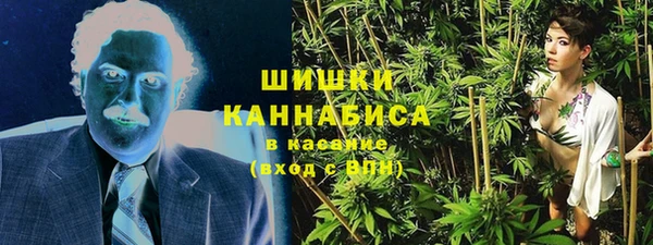 прущие грибы Балахна