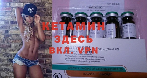 прущие грибы Балахна